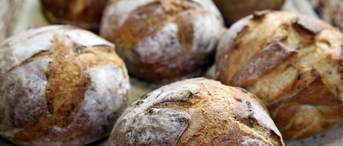 Sourdough Basics Workshop