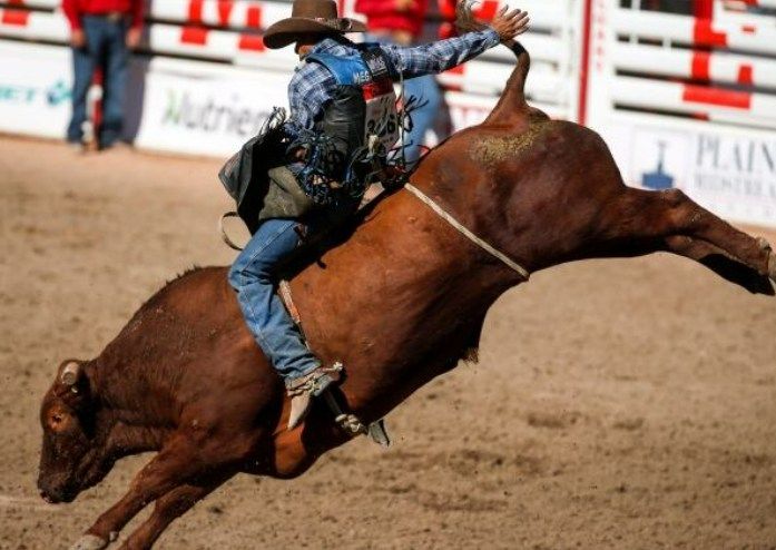 Protest - Annual Bull Riding at MSG