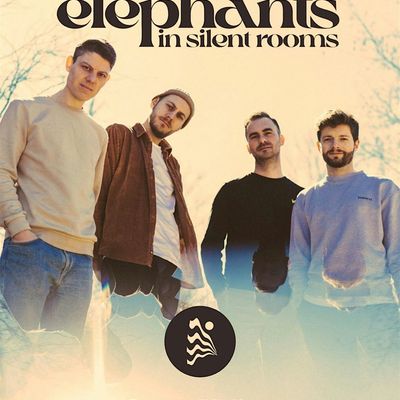 Elephants In Silent Rooms