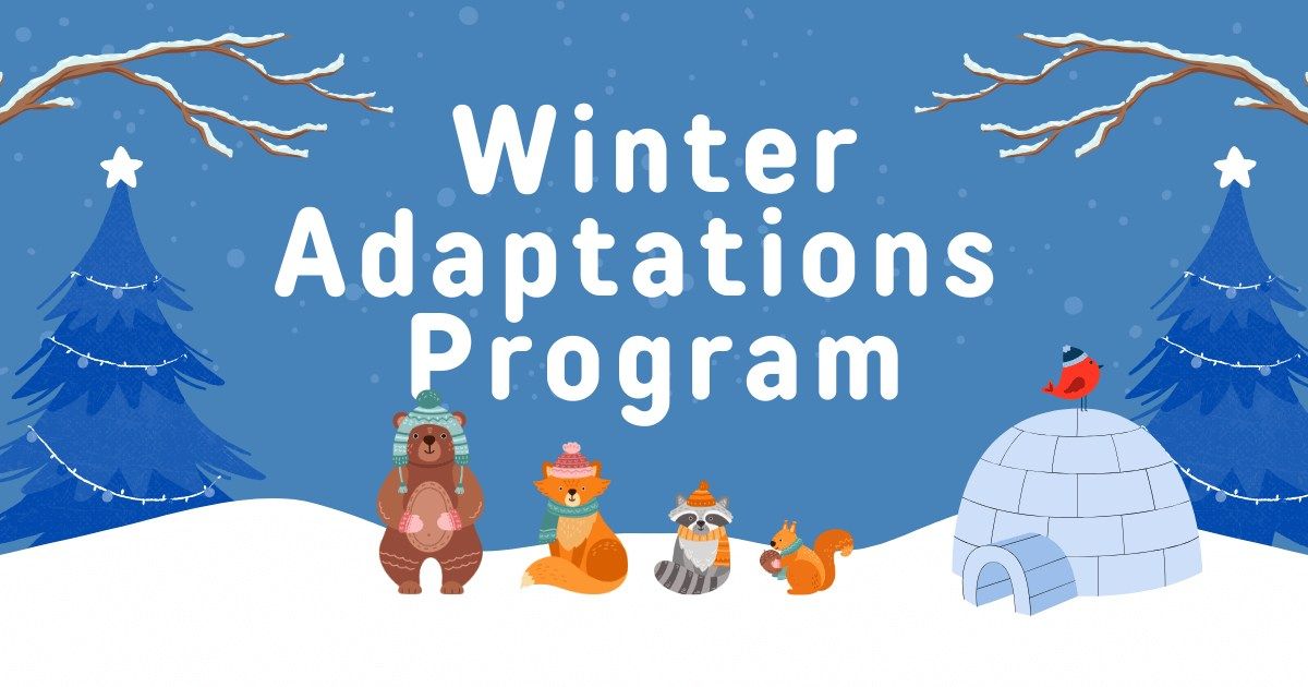 Winter Adaptations Drop-In Program