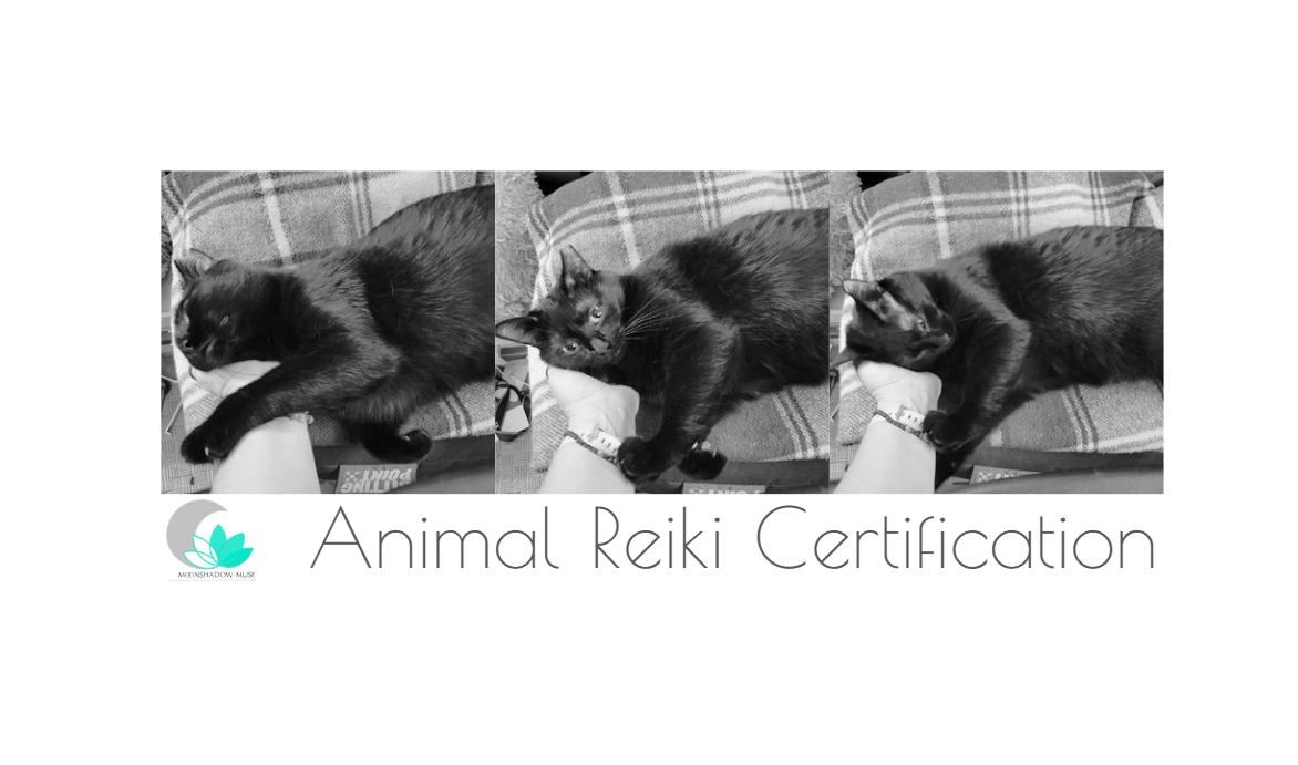 Animal Reiki I & II (ICRT) Certification Class - September 21-22, 2024 @ 9:00am-6:00pm