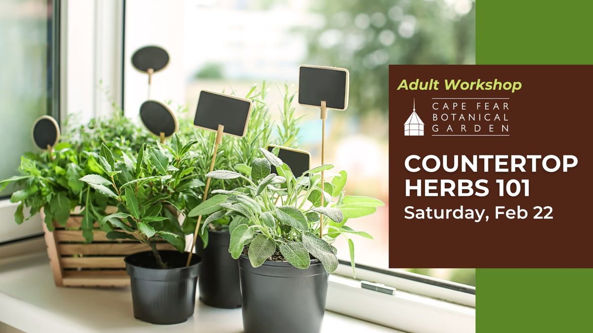 Countertop Herb Garden Workshop at the Garden