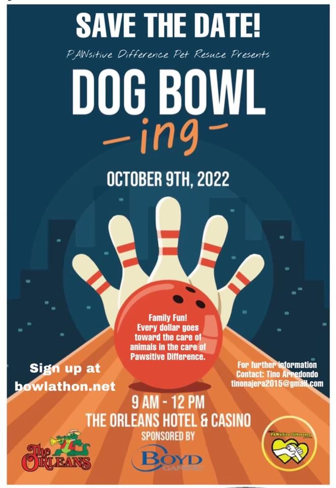 Dog Bowl  ing Event