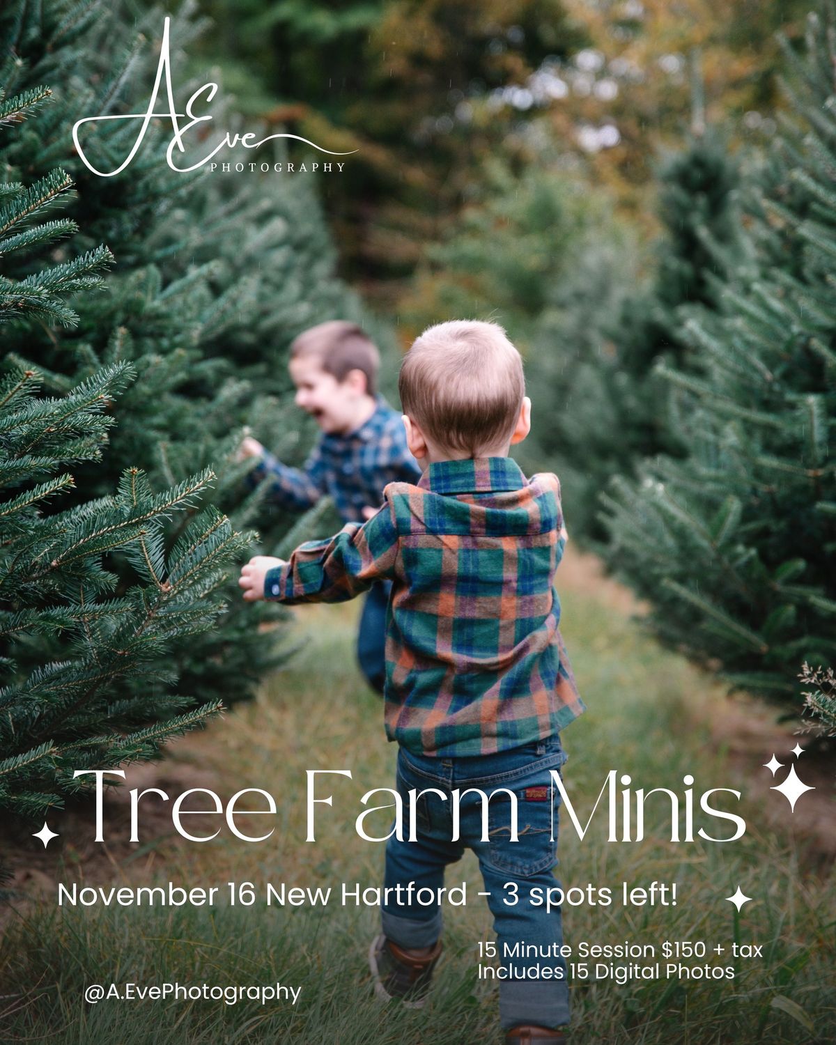 Tree Farm Minis