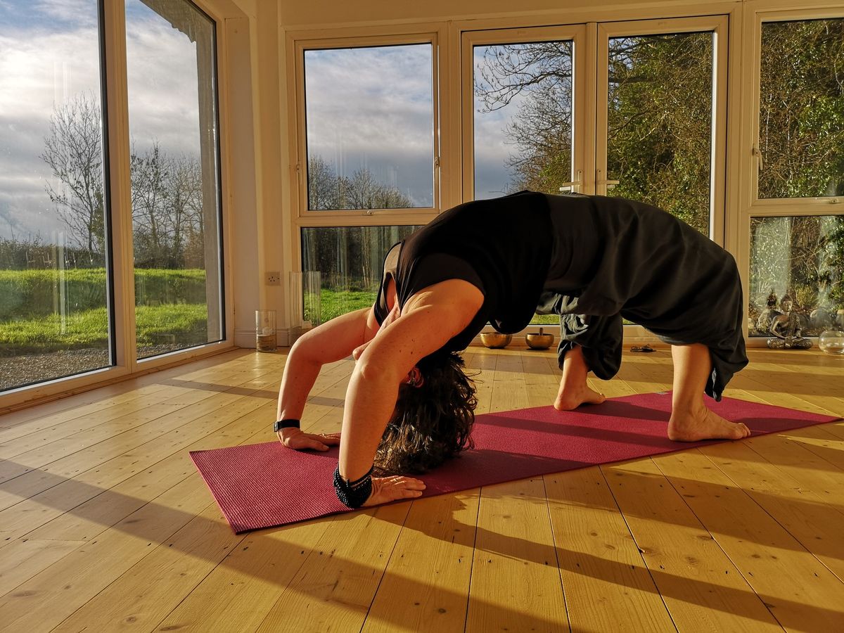 Embodied Backbends Workshop