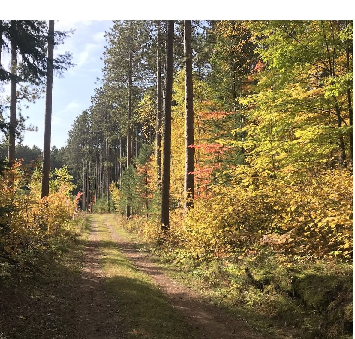 Forestry Center 5K Run\/Walk