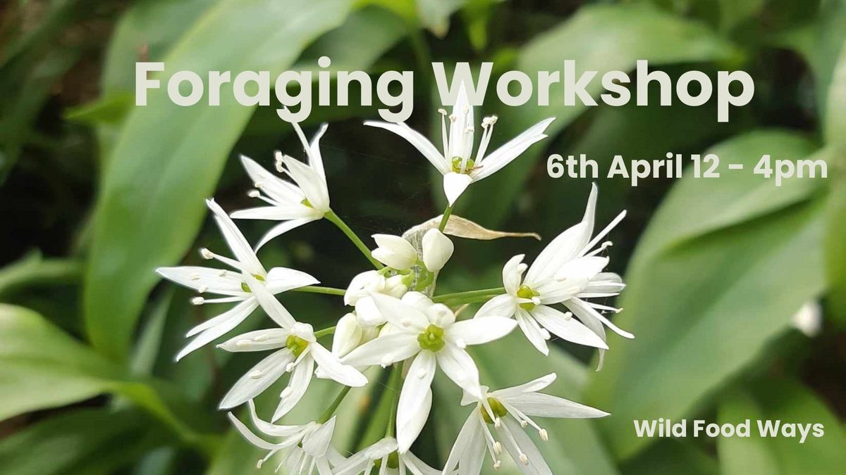 Foraging Workshop