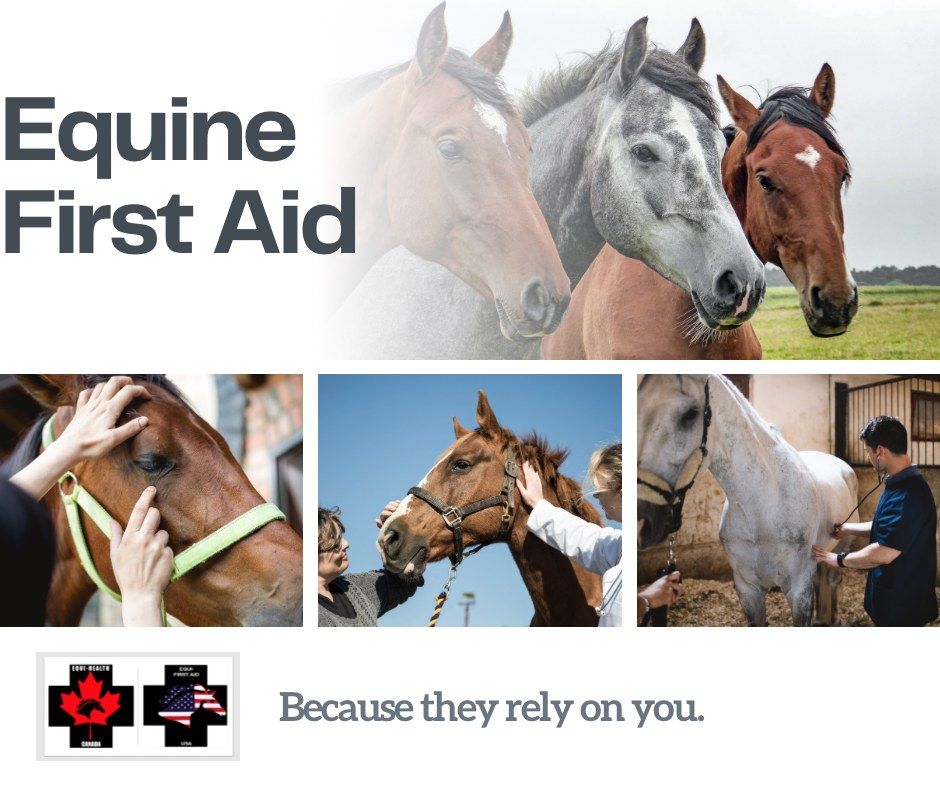 First Responder Training for Horses