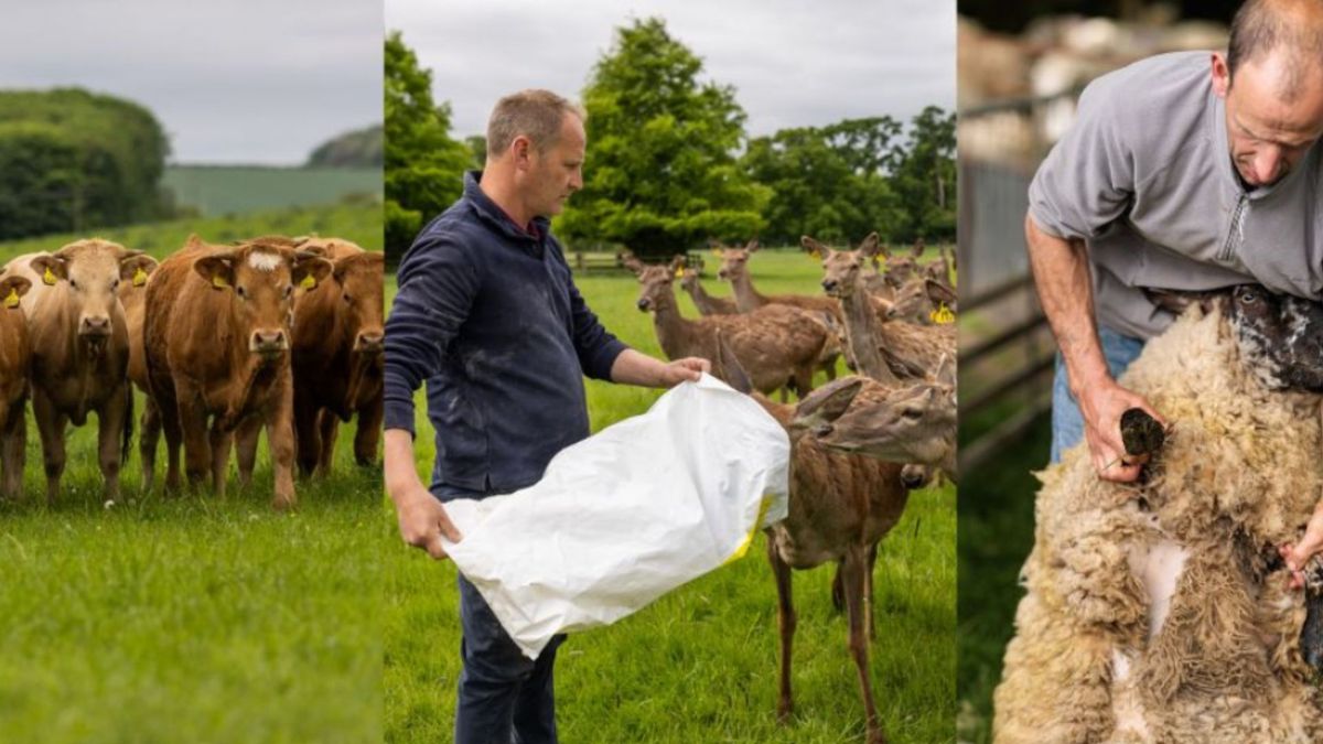 An Evening With The Farming Team