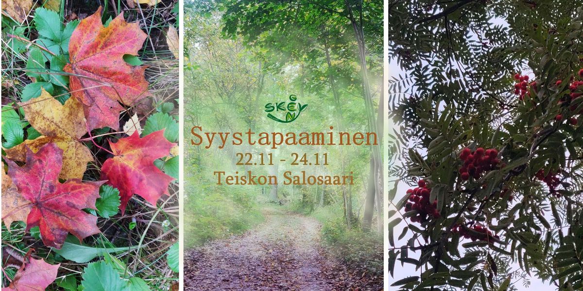 Syystapaaminen SKEY