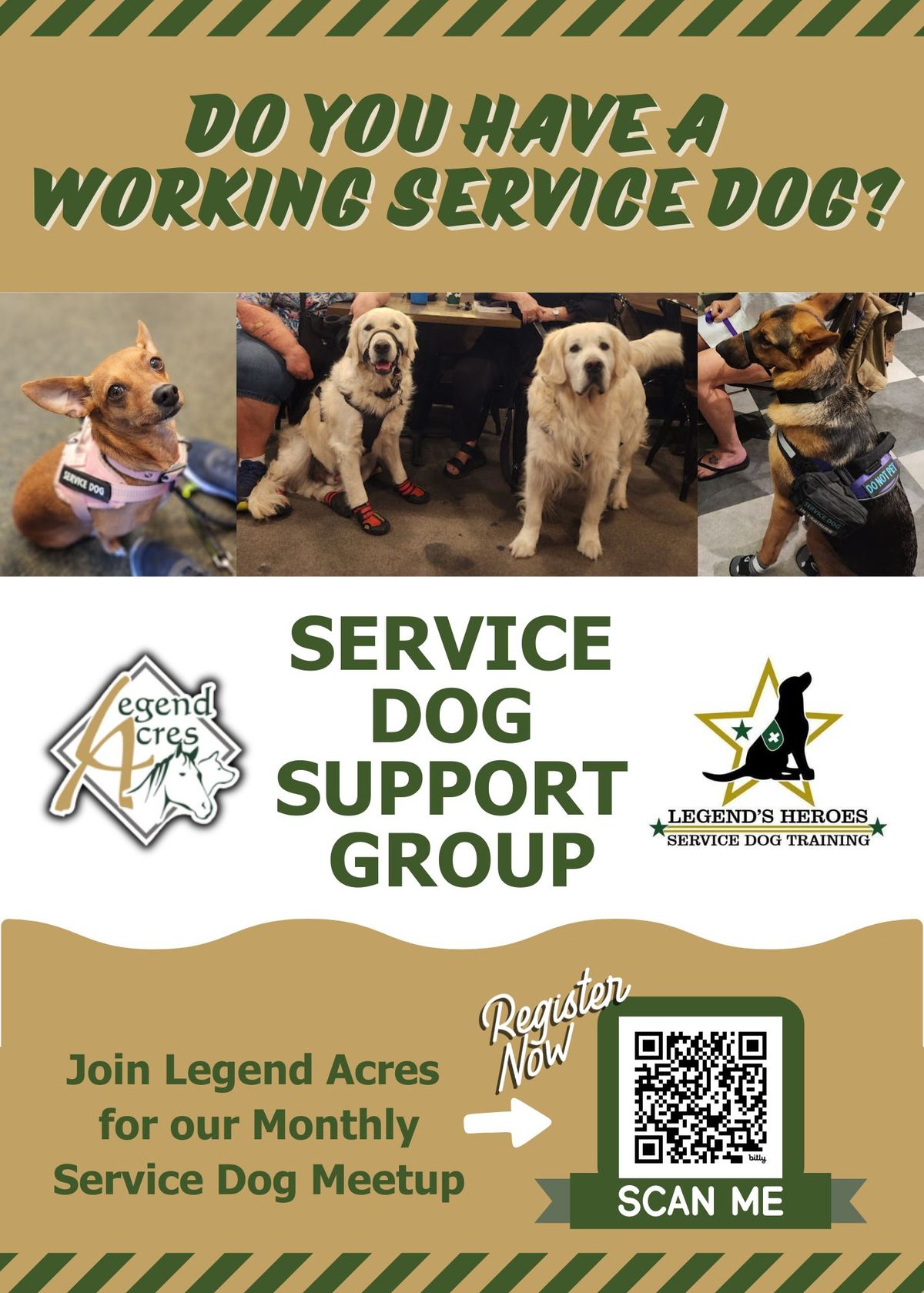 Service Dog Monthly Continued Education Training 