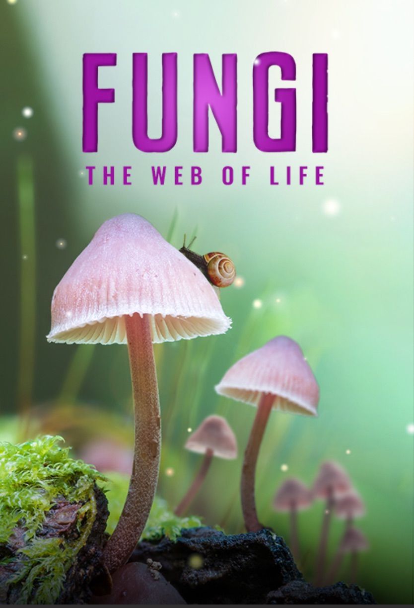 Fungi - The Web of Life (Demand Film at Colchester Odeon)