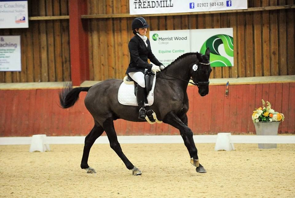 British Dressage - short arena