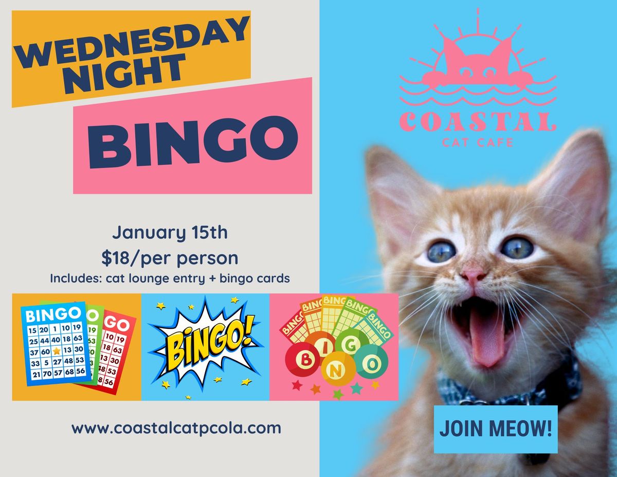 Wednesday Night Bingo!