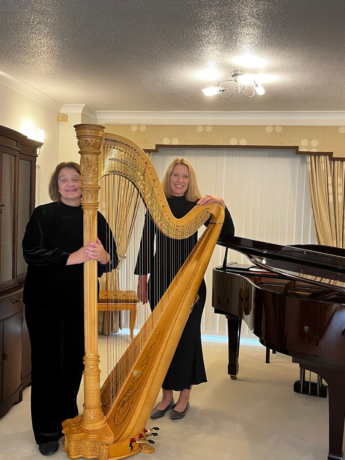 Charity Harp Concert