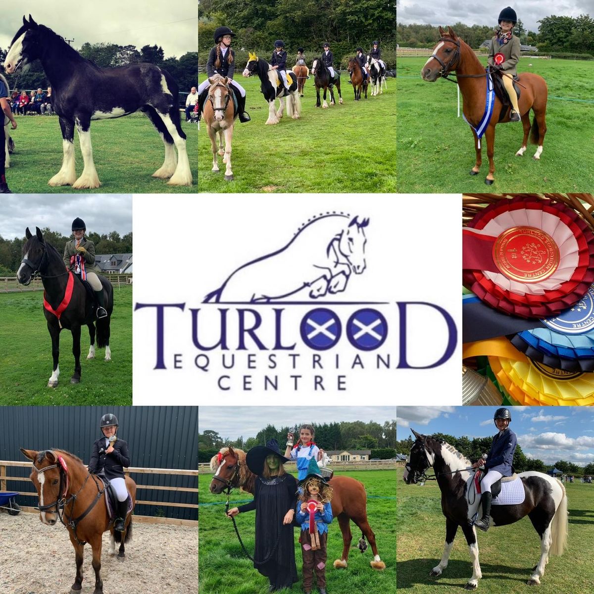 Turlood Equestrian Summer Show (Show Jumping, Showing & Fun Classes)