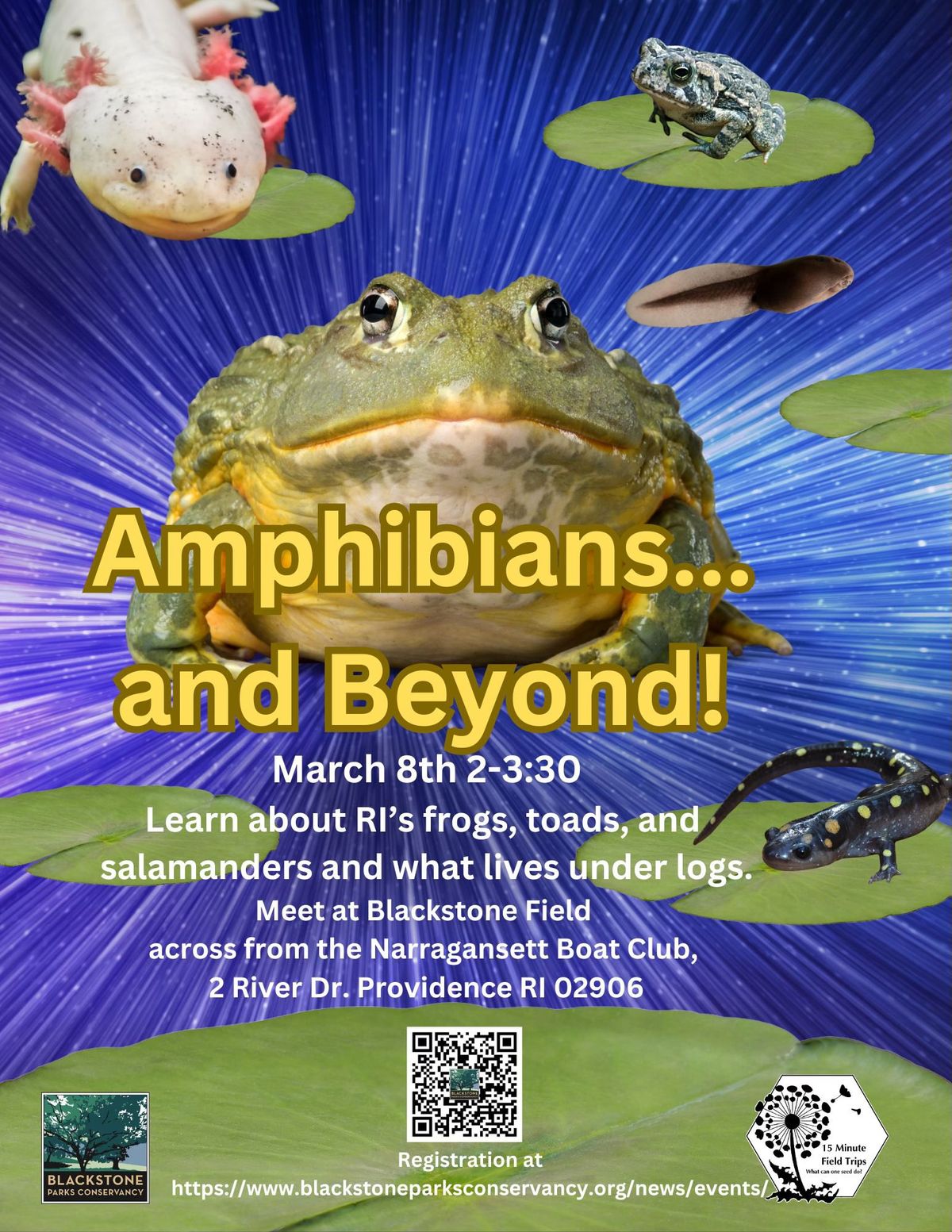 Amphibians and Beyond\u2026