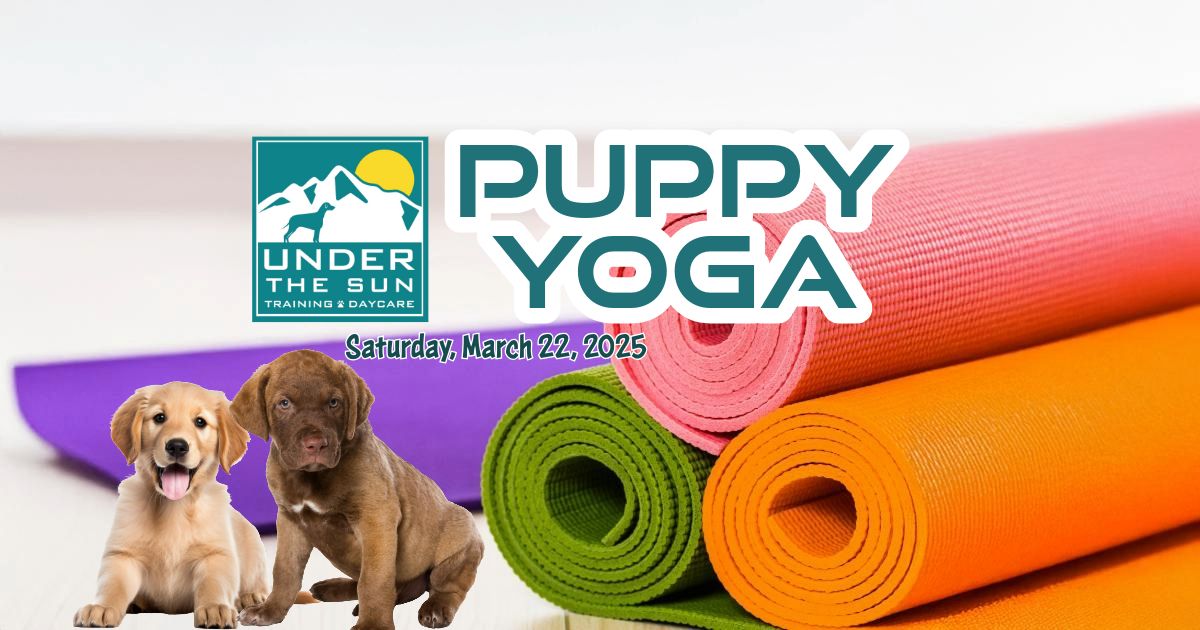 Puppy Yoga