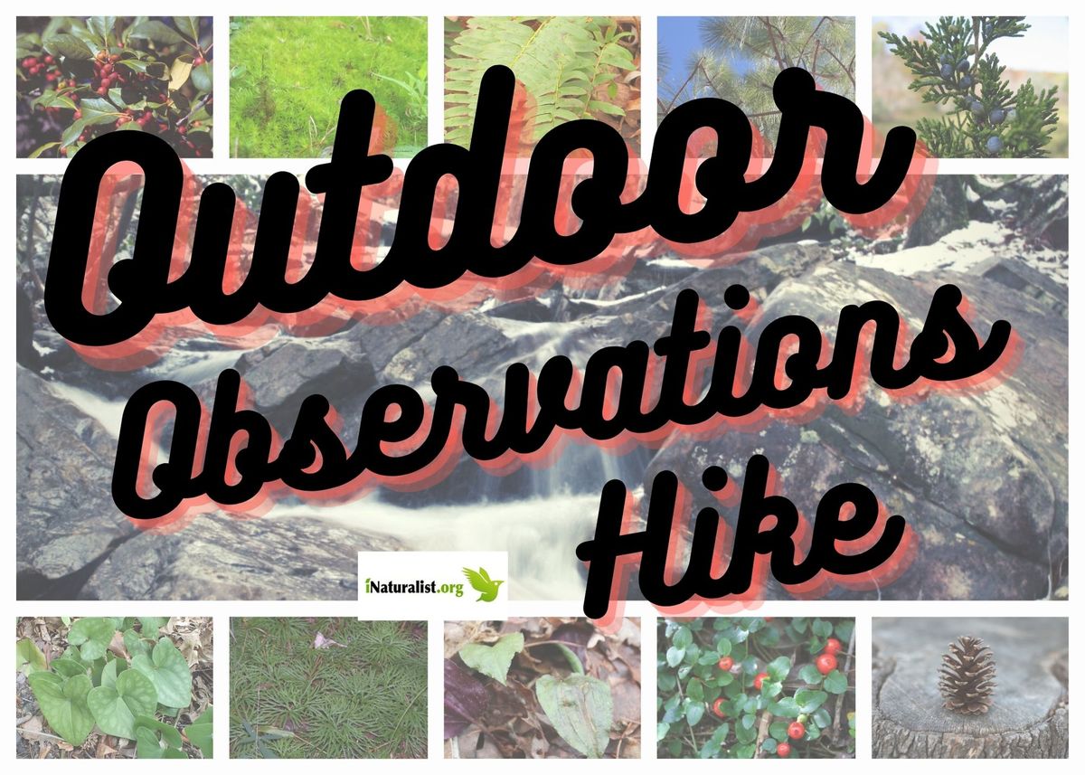 Winter Outdoor Observations Hike