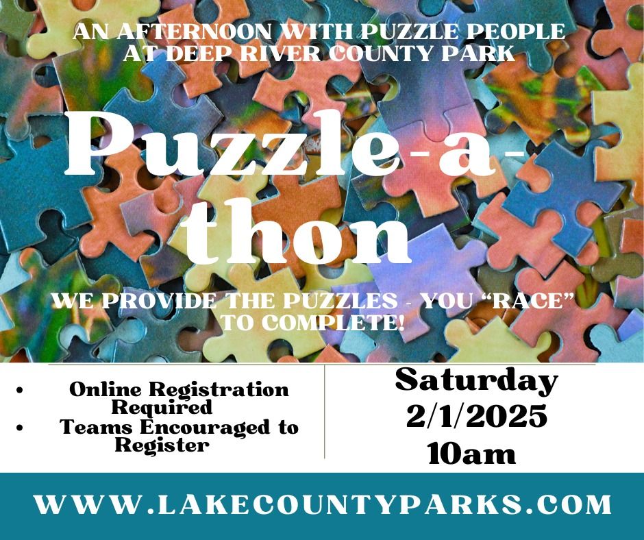 Puzzle-a-thon