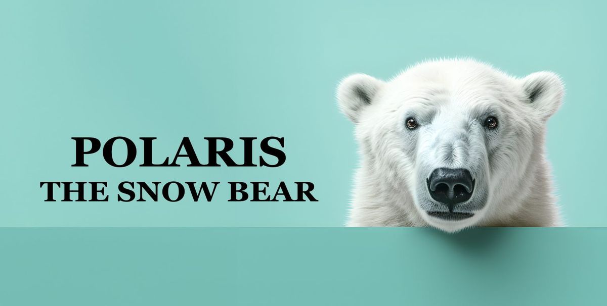 Polaris the Snow Bear by Badapple Theatre Company 