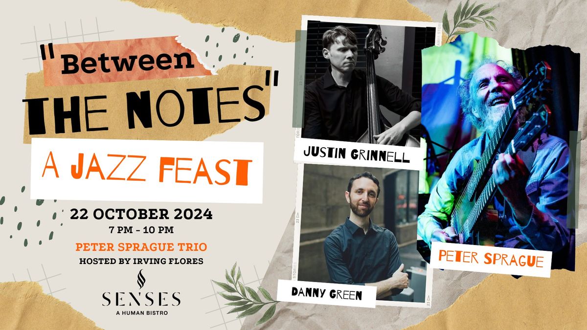 \u201cBetween The Notes\u201d a Jazz Feast Presents: Peter Sprague Trio