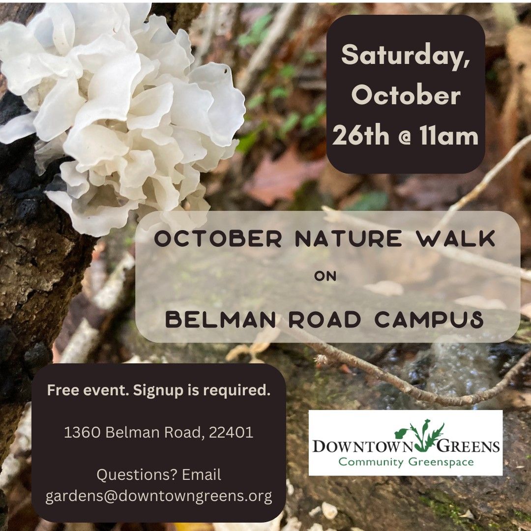 October Nature Walk on Belman Road Campus