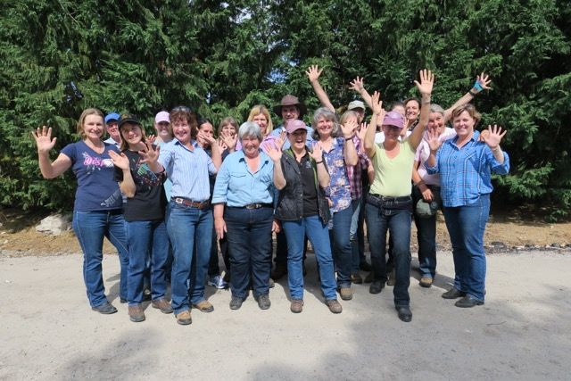 Leesburg, VA: Beyond Horse Massage Weekend Course with Suzanne Liscouski 