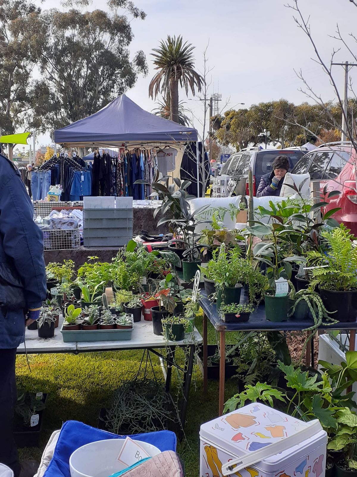 Cobram Lions Market 