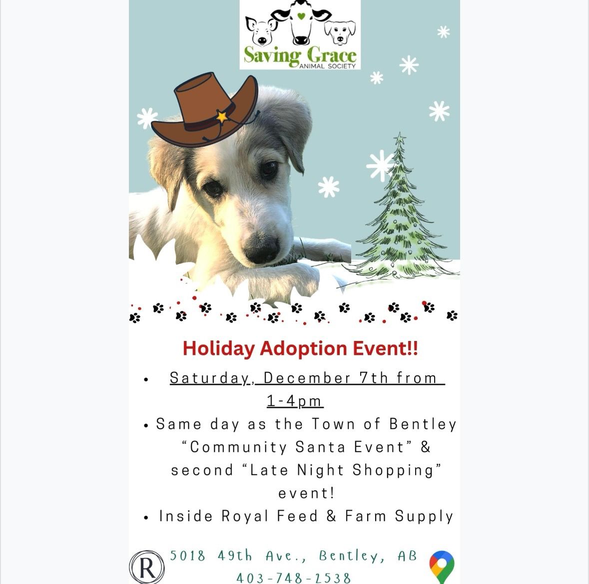 Saving Grace Animal Society Adoption Event