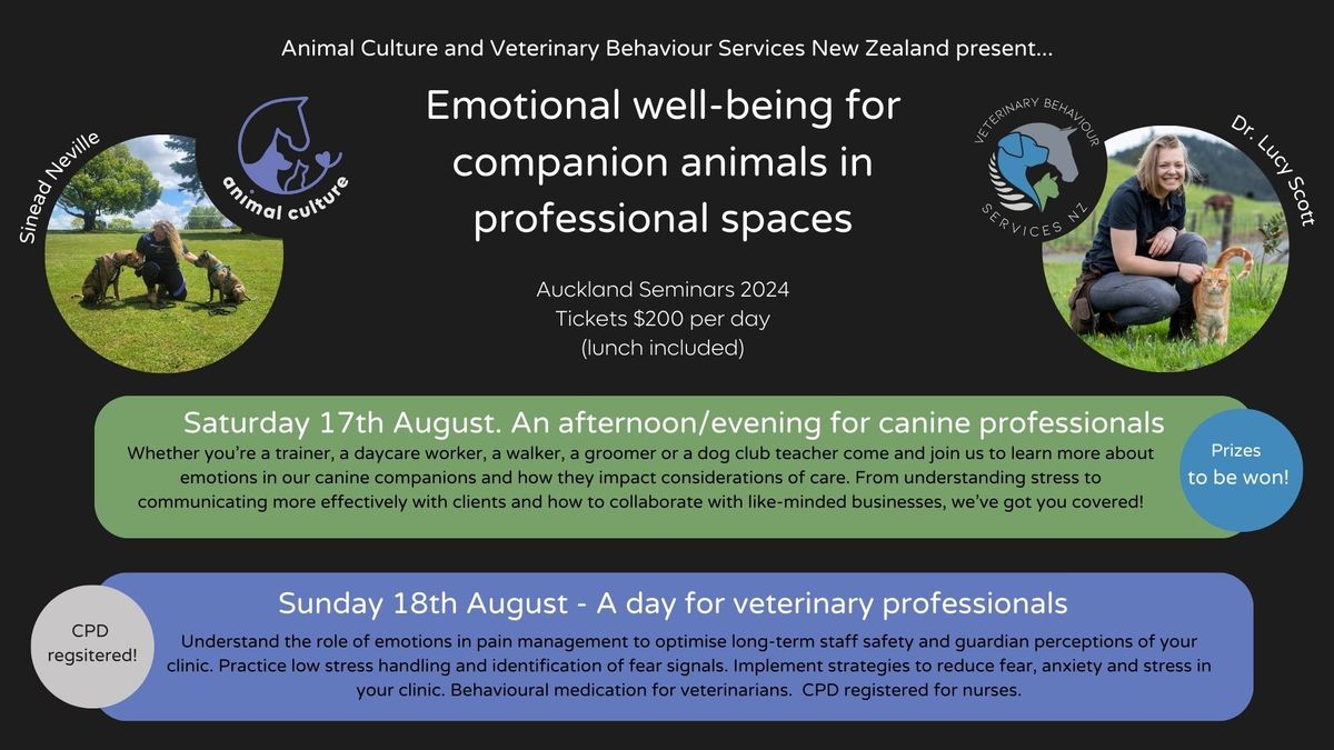 Emotional Wellbeing in Professional Animal Spaces