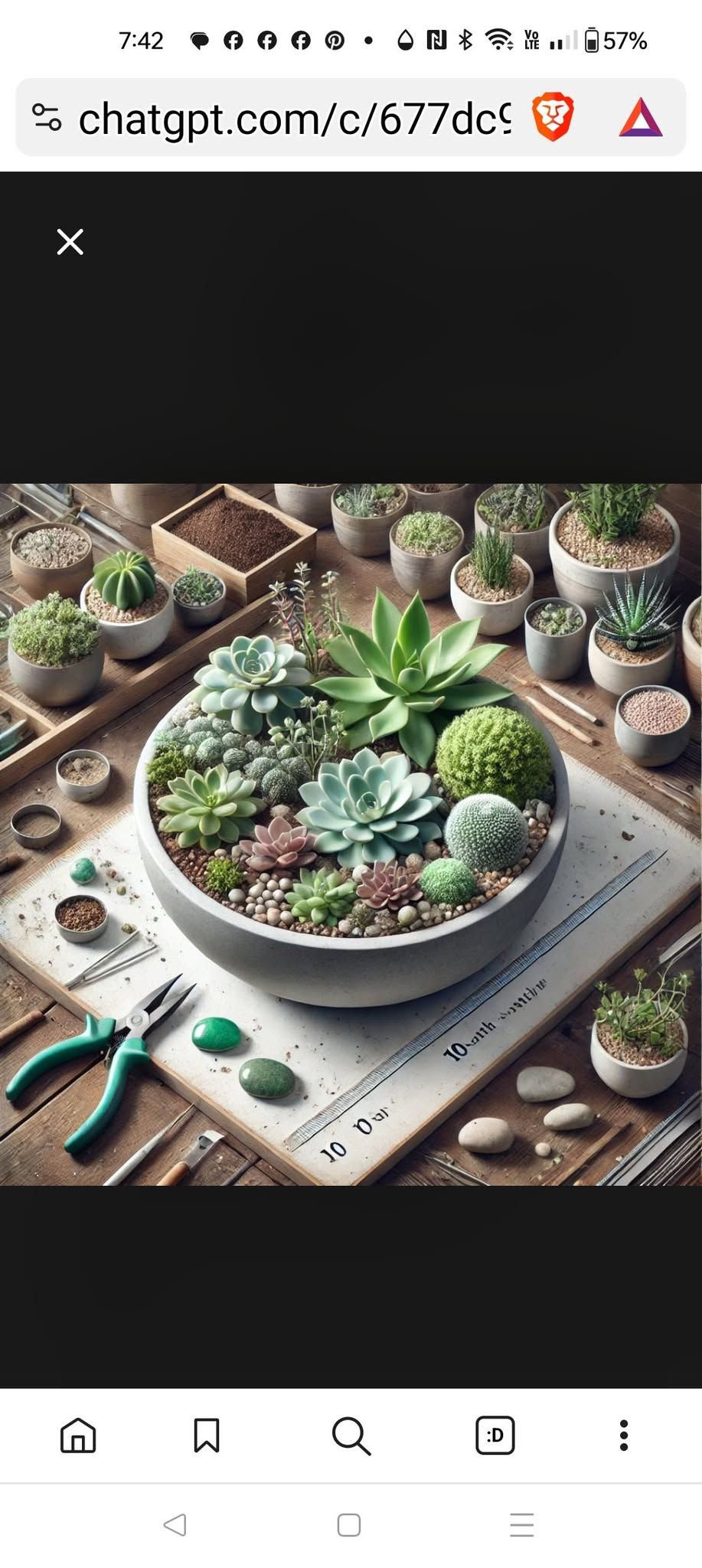 SOLD OUT-Uncommon Pints-"Let's Dig In" Succulent Workshop 