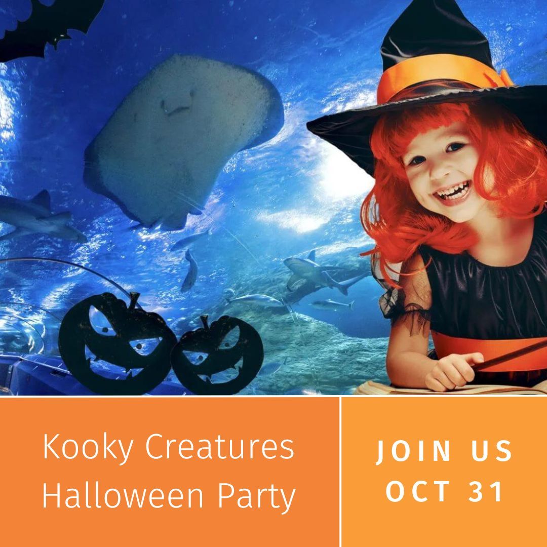 AQWA\u2019s Kooky Creatures Halloween Party \ud83d\udc7b