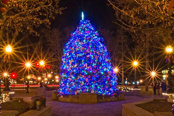 Main Street Tree Lighting