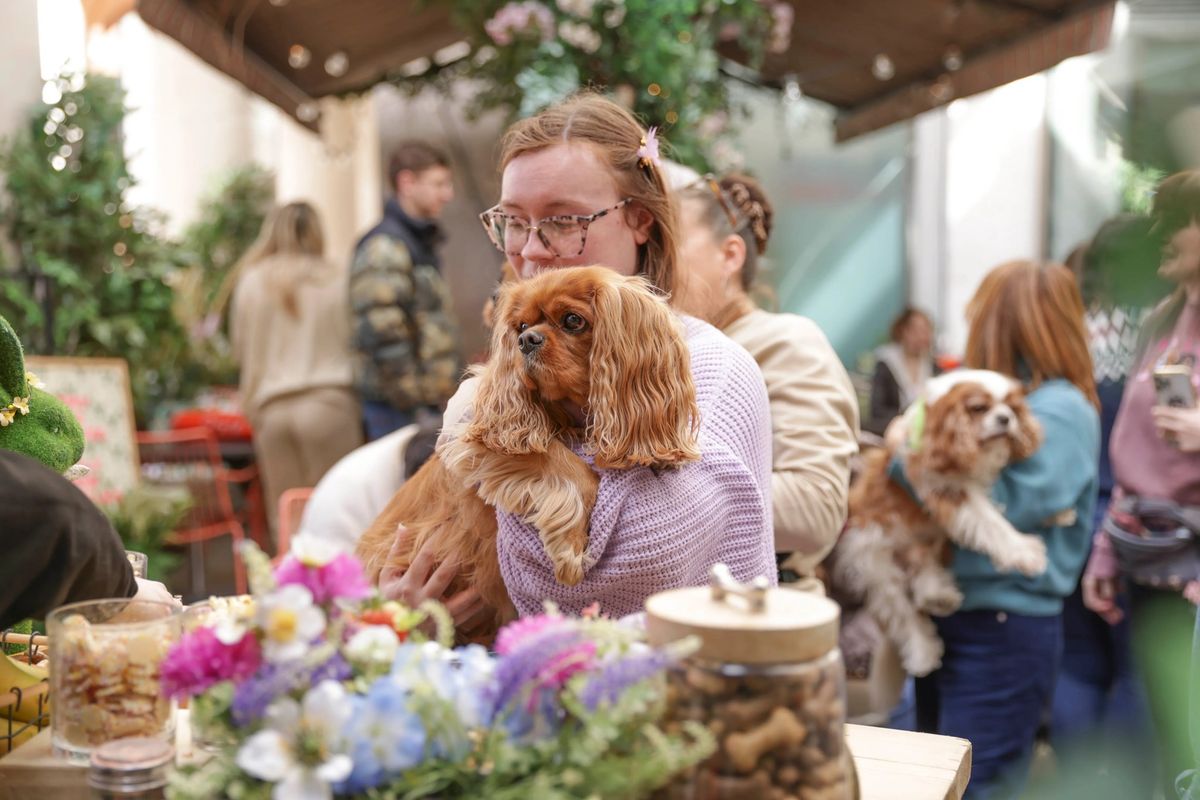 CAVALIER CAFE - LONDON