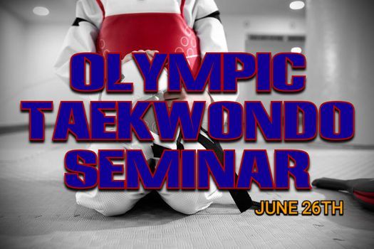 Olympic Taekwondo Seminar