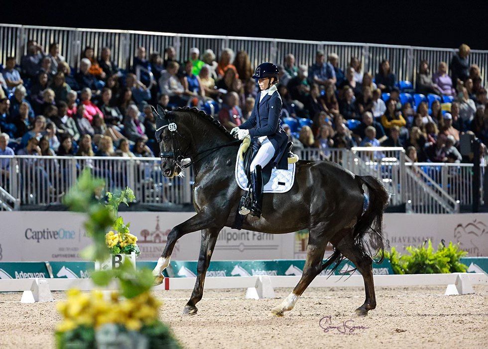 Friday Night Stars - CDI5* at Wellington International