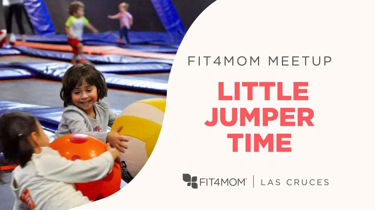 FIT4MOM Meetup | Little Jumper Time at Sky Zone