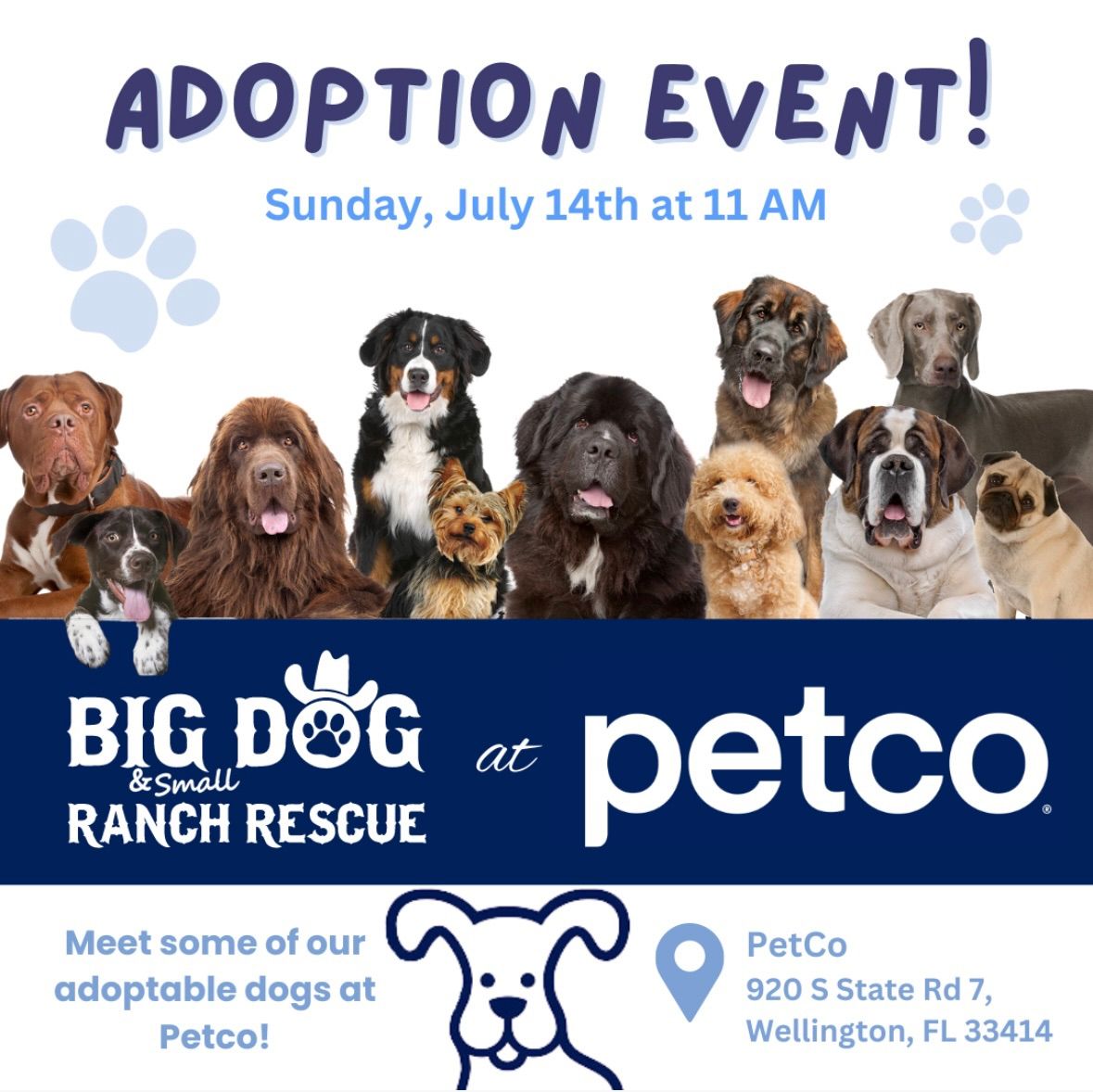 Petco Adoption Event 