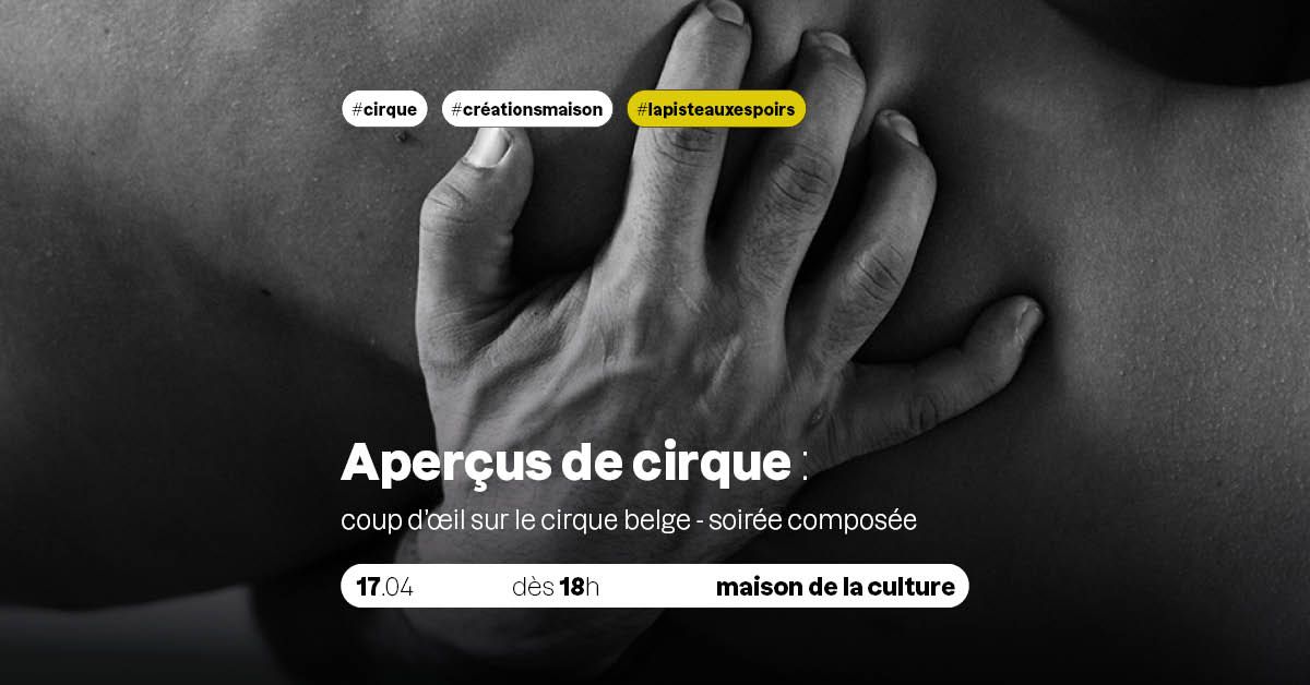 CIRQUE - Coup d'oeil sur le cirque belge