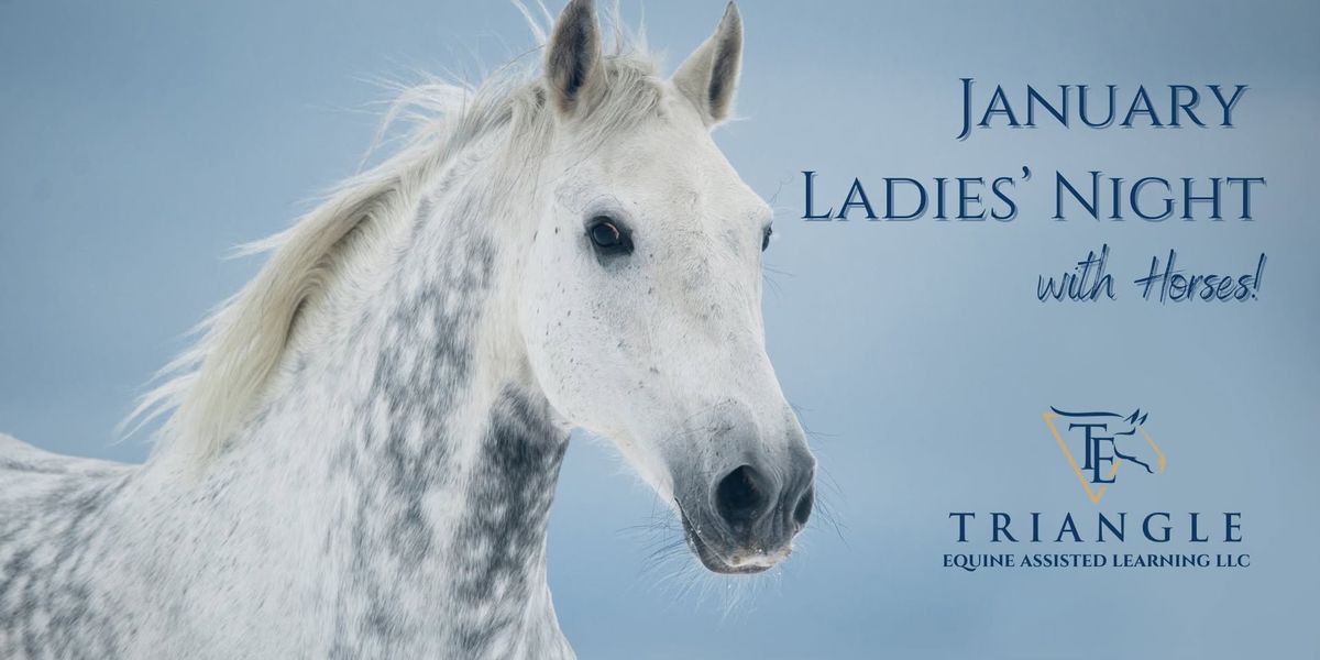 January Ladies' Night with Horses