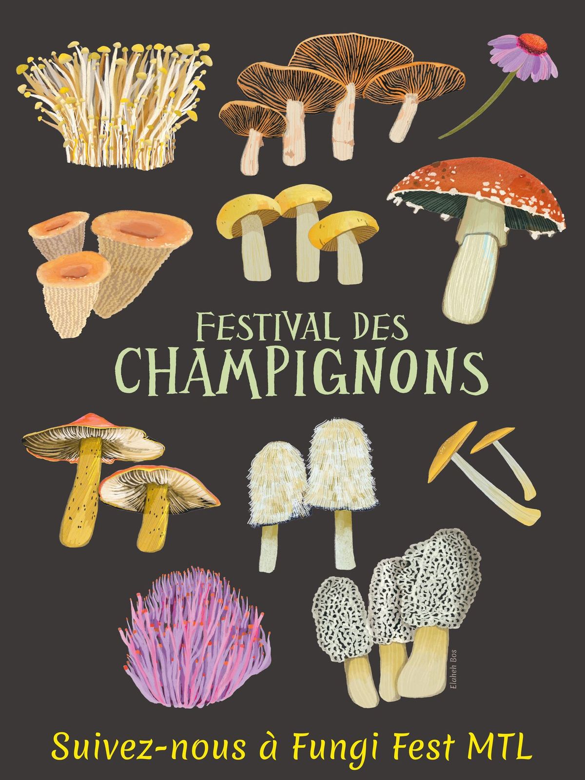 Fungi Fest Mtl at Concordia University