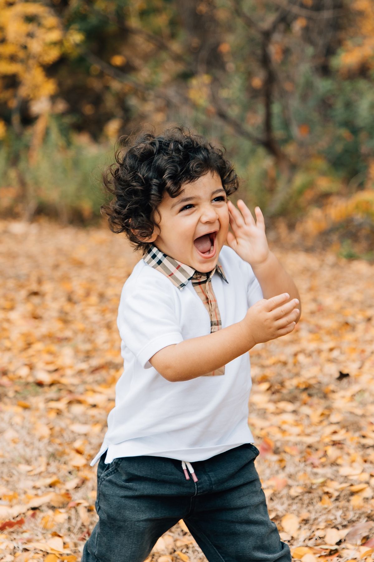 FALL MINI SESSIONS