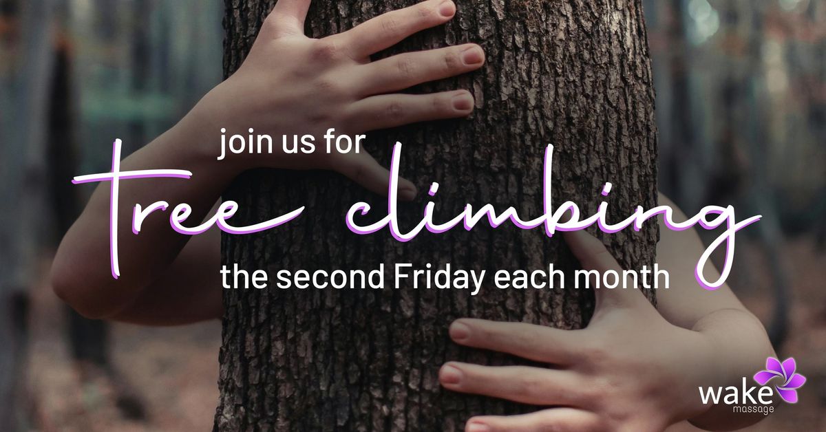 FREE Solo Tree Climbs!