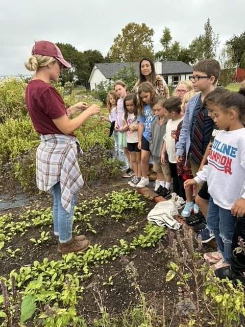 Open Farm Tour