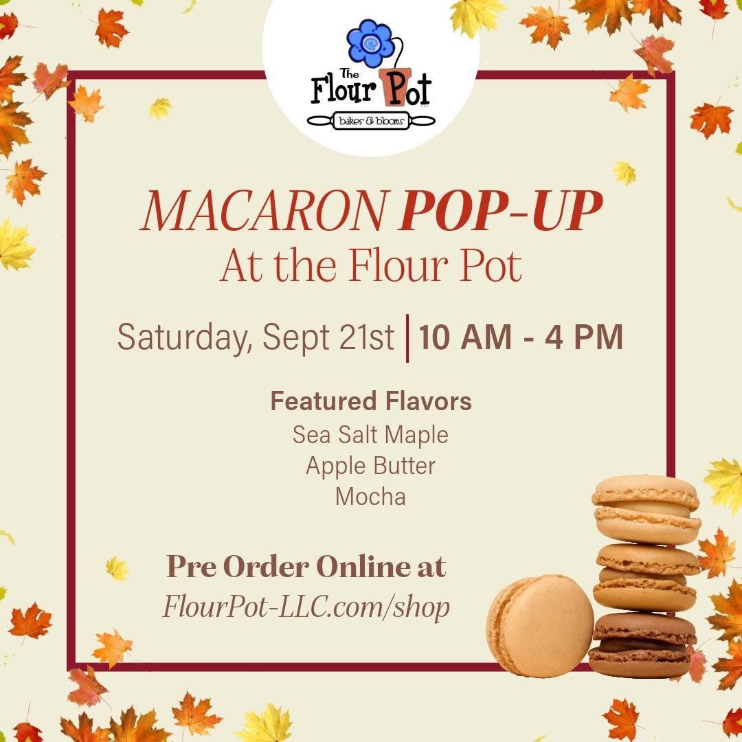 Macaron Pop Up