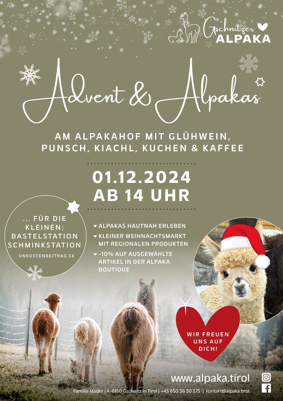 Advent & Alpaka