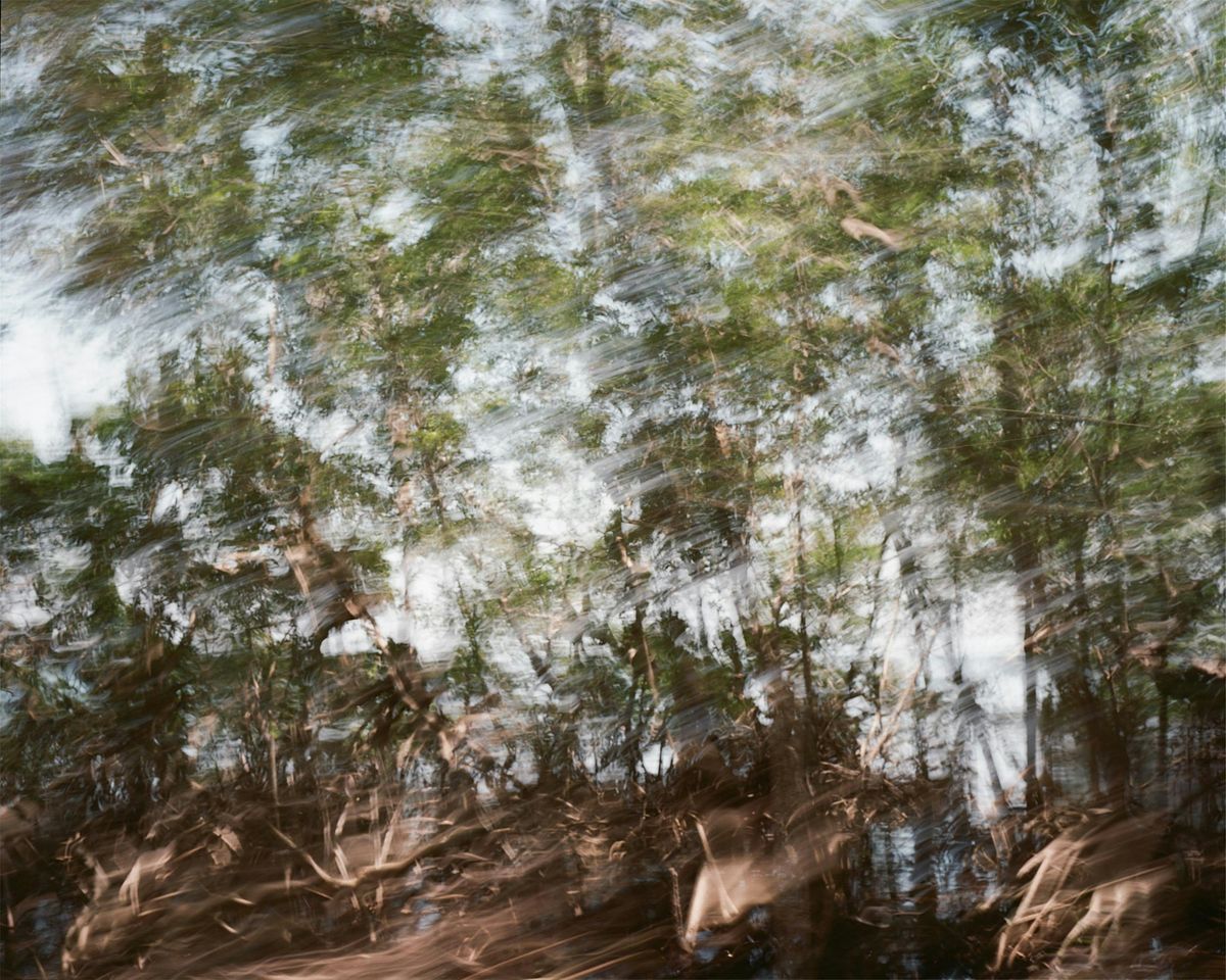 Image Readings: Niko Devera