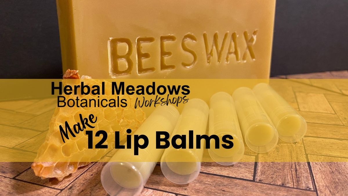 Lip Balm Workshop: 12 Regular Sized Lip Balms (.15oz) 