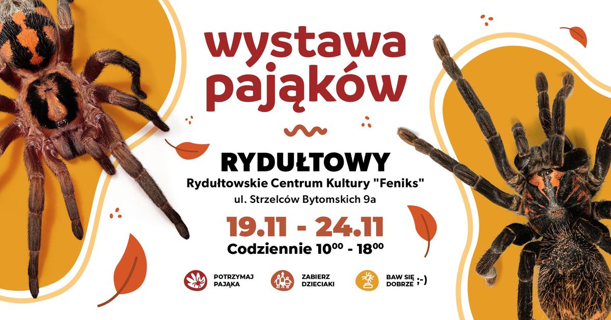 \ud83d\udd77\ufe0f Wystawa Paj\u0105k\u00f3w w Rydu\u0142towach! \ud83c\udf42 (19.11 - 24.11)